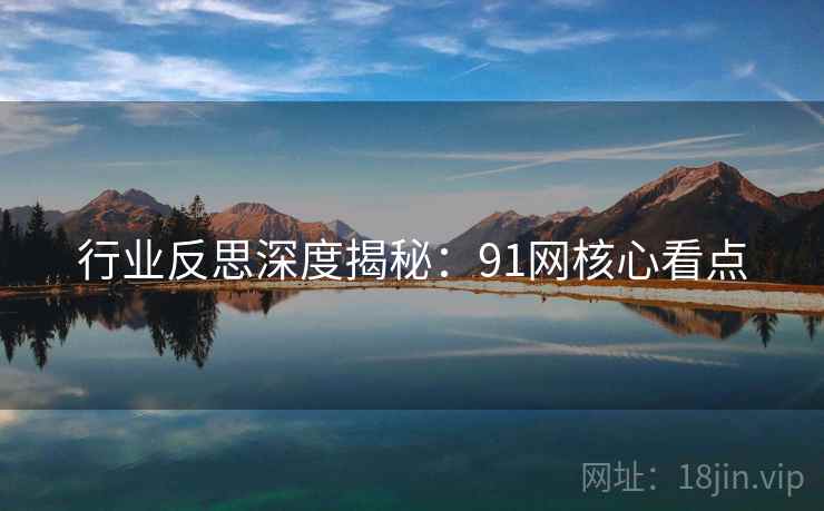 行业反思深度揭秘：91网核心看点