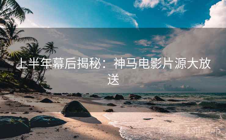 上半年幕后揭秘：神马电影片源大放送