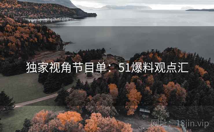 独家视角节目单：51爆料观点汇