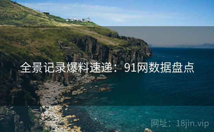 全景记录爆料速递：91网数据盘点