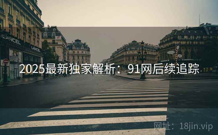 2025最新独家解析：91网后续追踪