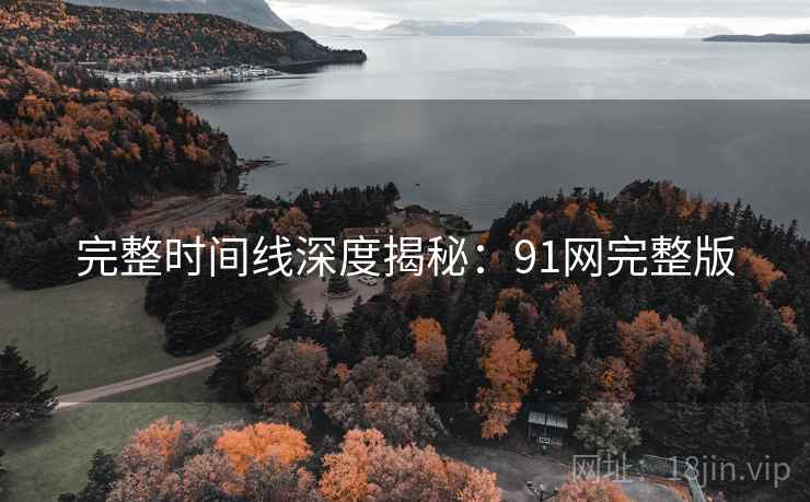 完整时间线深度揭秘：91网完整版