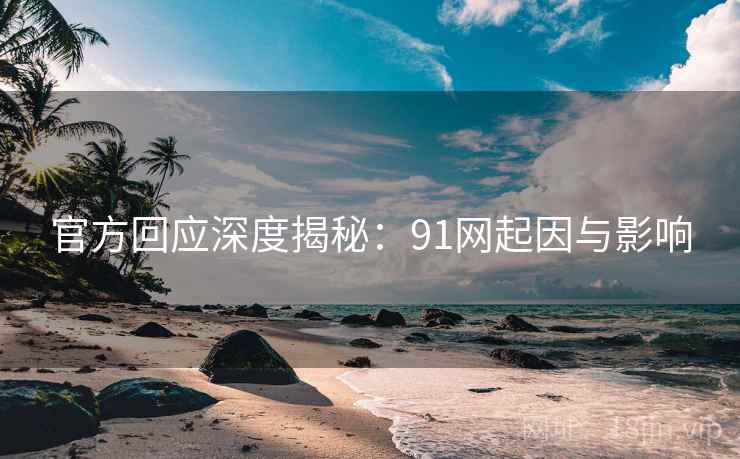 官方回应深度揭秘：91网起因与影响