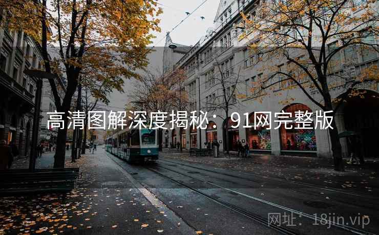 高清图解深度揭秘：91网完整版