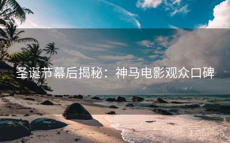 圣诞节幕后揭秘：神马电影观众口碑